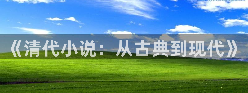 七猫小说手机网页版：《清代小说：从古典到现代》